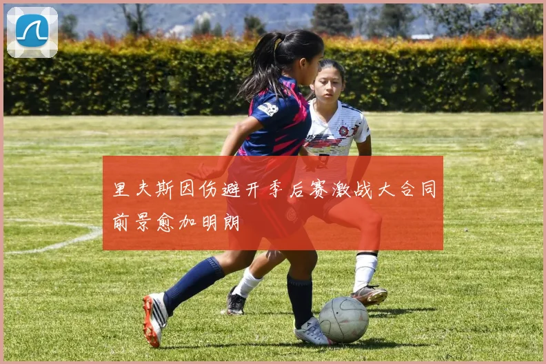 里夫斯因伤避开季后赛激战大合同前景愈加明朗