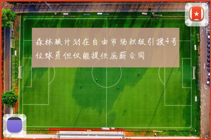 森林狼计划在自由市场积极引援4号位球员但仅能提供底薪合同