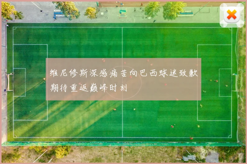 维尼修斯深感痛苦向巴西球迷致歉期待重返巅峰时刻